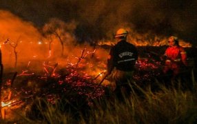 Posadas: Bomberos trabajaron para controlar incendio intencional de pastizales en Silicon Misiones