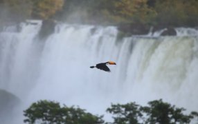 La provincia presenta su temporada de verano 2025 en la Casa de Misiones de la Ciudad Autónoma de Buenos Aires: El evento mostrará las propuestas más destacadas para el disfrute de residentes y turistas