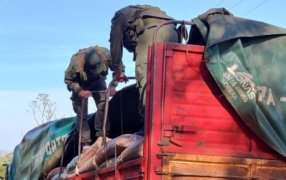 Gendarmería Nacional secuestró 23 toneladas de soja en cercanías al límite fronterizo: Dos camiones custodiados por un tercer vehículo se trasladaban con las oleaginosas sobre un camino conducente al Río Uruguay