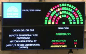 El Senado sancionó la Ley que suspende las PASO para este año, el Gobierno Nacional obtuvo 43 votos afirmativos, 20 negativos y 6 abstenciones