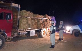 Prefectura Naval Argentina secuestró más de cinco toneladas de tabaco en Misiones