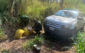 Fueron sorprendidos con casi cuarenta kilos de marihuana sobre sus espaldas