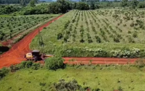 Apóstoles: Continúan los arreglos en caminos rurales del Municipio, el objetivo es mejorar la circulación vehicular y garantizar la seguridad de los productores