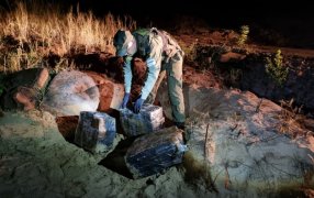 73 kilos de marihuana fueron hallados sobre las costas del Río Paraná: El origen del estupefaciente era el vecino país del Paraguay