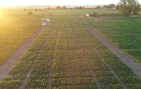 El Grupo INDECAR suma a Stine y a Bioceres a su proyecto de Centro Agrotecnológico Experimental