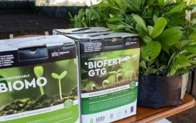 Misiones: Productores/as de la localidad de Azara se beneficiaron con plantines de yerba mate y bioinsumos para el desarrollo de su producción