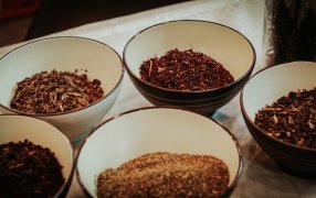 Misiones: Presentan el plan estratégico para fortalecer la producción de té gourmet y promover el turismo tealero