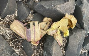 Hallaron cargamento de droga en zona costera de la ciudad de Posadas