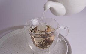 Avance clave para el sector tealero: El té blanco se incorpora al código alimentario argentino