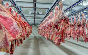 El Gobierno Nacional extendió la quita temporal de retenciones también a las carnes bovinas y avícolas