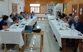 Misiones: Empresarios madereros analizan estrategias para motorizar la economía sectorial