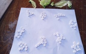 Detectaron droga que intentaban ingresar al Complejo Penitenciario I de Loreto