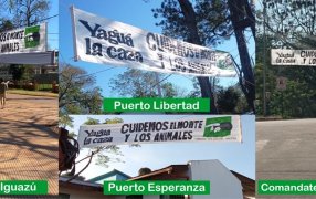 Municipios del norte de Misiones se suman a la campaña “Yaguá la Caza” para decir basta a la cacería en la provincia