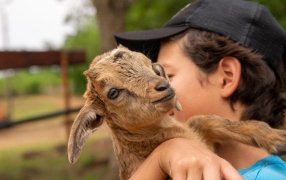Actividades de turismo rural para estas vacaciones de invierno en la provincia de Misiones