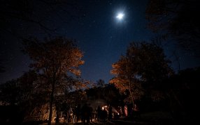 Misiones: Astroturismo, Gastronomía y Naturaleza, en el Salto Encantado