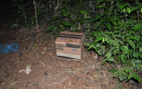 Incautación de estupefaciente, realizado por Gendarmería Nacional en la provincia de Misiones