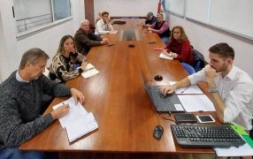 Marco legal nacional e internacional, tema de reunión por resguardo genético de la yerba mate