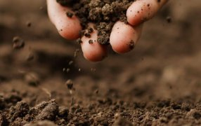 7 de Julio, Día Mundial de la Conservación del Suelo: Misiones avanza a constituirse en una provincia con cartografía de suelos y un manejo sustentable del mismo