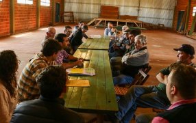 Apoyo al sector ganadero misionero: Entregaron créditos para la compra de animales