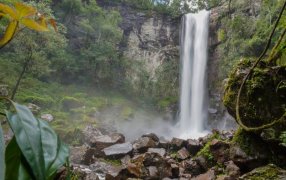 Naturaleza y aventura en los Parques Provinciales y Temático de la provincia de Misiones