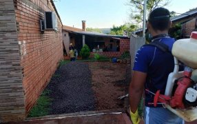 Misiones no cesa en la prevención y promoción de la lucha contra el mosquito Aedes Aegypti