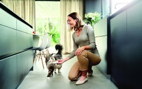 Alergia a los gatos: Cómo combatirla