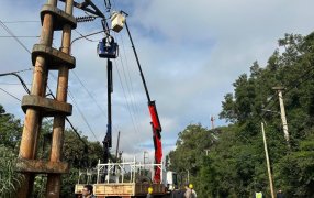 Mantenimiento preventivo de la empresa Energía de Misiones sobre líneas de alta tensión en la ciudad de Posadas