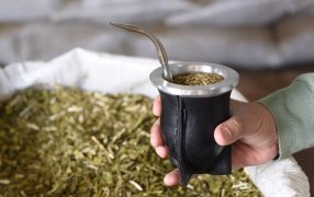 Al cierre de Agosto, el consumo de yerba mate superó los 213 millones de kilos entre mercado interno y exportaciones