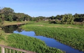 Una investigación de la Multiversidad sugiere una gestión integrada de los recursos hídricos en la ciudad misionera de Posadas