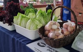 Apóstoles une la chacra con los estudiantes universitarios