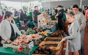 Horarios especiales de las Ferias Francas en la ciudad de Posadas por Semana Santa