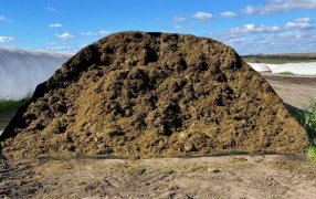 ¿Cómo recuperar 6.6 toneladas de silaje de alfalfa por silobolsa?