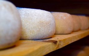 Queso de oveja: Un alimento natural y funcional