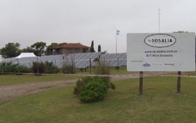 Entre Ríos: Un tambo modelo se achica y analiza cerrar sus tranqueras