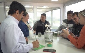 Biofábrica Misiones cerró la cuarta cohorte de la diplomatura en Biotecnología Vegetal