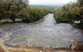 ¿Por qué hay que cuidar y proteger los acuíferos?