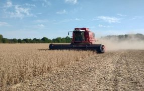 Las pérdidas del agro por la sequía ya alcanzan a 33.000 millones de dólares