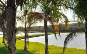 Turismo rural en Misiones: Campo Santa Evelyn, un refugio natural en la ciudad de Apóstoles para disfrutar de la tranquilidad