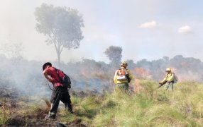 Emergencia ígnea en Misiones: Índice extremo de incendios en los Municipios de; Apóstoles, Puerto Iguazú, Candelaria, San Javier, Concepción de la Sierra
