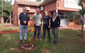 Apóstoles: En el marco del Día Internacional de la Madre Tierra, llevó a cabo una jornada de plantación de árboles en diferentes sectores de la ciudad