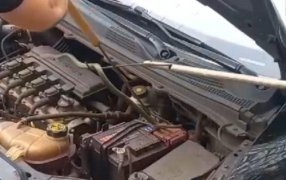 Posadas: Quiso encender su vehículo y tenía una víbora en el motor