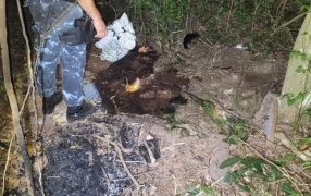Misiones: Tres demorados por tentativa de robo de cables en la ciudad de Puerto Iguazú, 25 mil usuarios resultaron damnificados