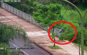 Posadas: Un jovencito de 15 años intentó arrojarse al río y los policías lo evitaron