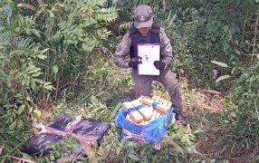 Más de 500 kilos de marihuana se encontraban acopiados en el monte: Una patrulla de Gendarmería Nacional materializó el hallazgo dentro de una zona montuosa