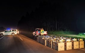 A bordo de una camioneta robada atentaron contra la integridad de personal de Gendarmería Nacional, la pick-up, cargada con cigarrillos de contrabando, detuvo su marcha luego de chocar contra otros tres rodados