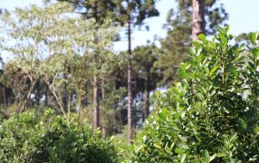 Respaldo del INYM para mejorar condiciones de trabajo y la productividad