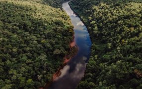 Humedales de la provincia de Misiones: Ecosistemas clave para proteger la biodiversidad regional