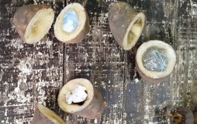 Misiones: Requisa detecta drogas “camufladas” en papas en la Unidad Penal VI del Servicio Penitenciario Provincial