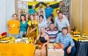 La miel misionera volvió a brillar en el evento apícola más importante del país