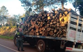 Gendarmes secuestraron madera nativa: La madera no contaba con la documentación necesaria para ser transportada